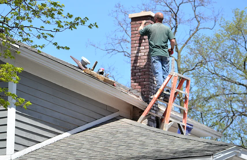 Chimney & Fireplace Inspections Services in Meadow Woods, FL